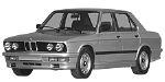 BMW E28 B258A Fault Code